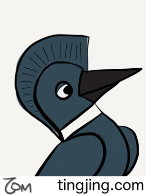 Kingfishers